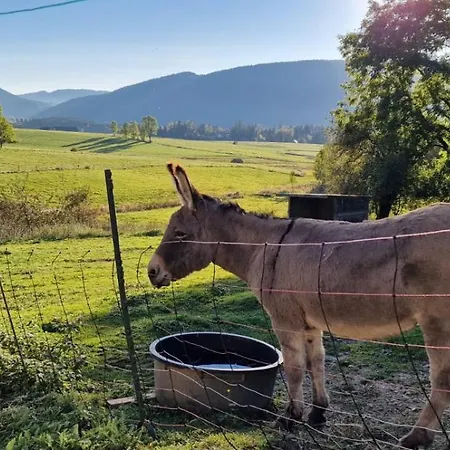 Grande Maison Familiale A En Vercors *